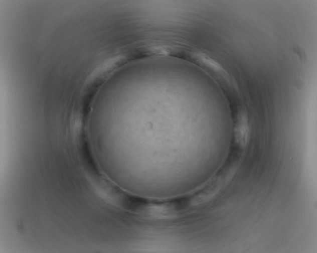 X0000114690314200910211318