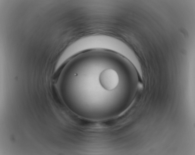 X0000114690316200910211318