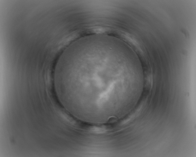 X0000114690317200910211318