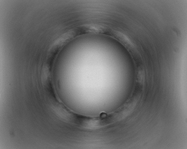 X0000114690318200910211318