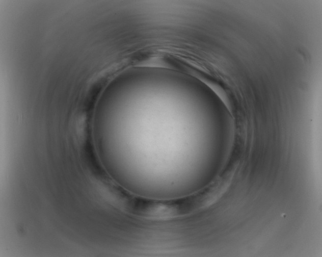 X0000114690319200910211318