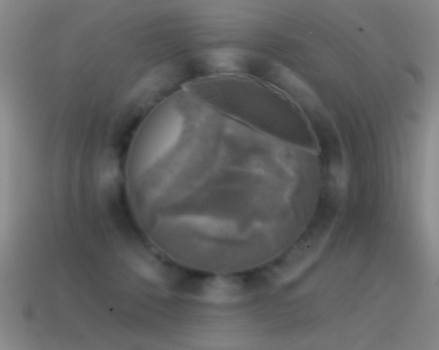 X0000114690320200910211318