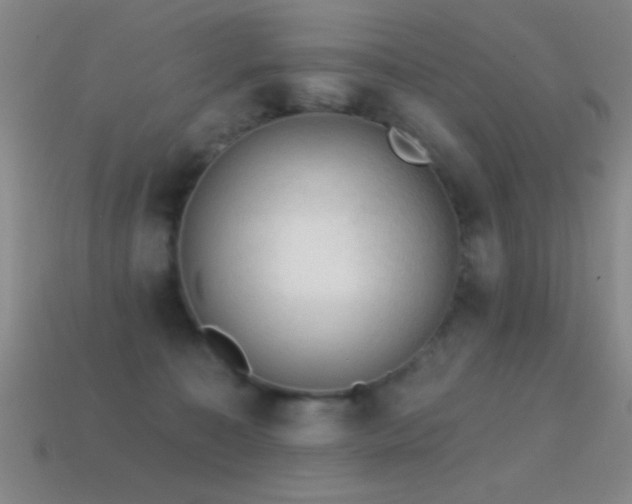 X0000114690323200910211318