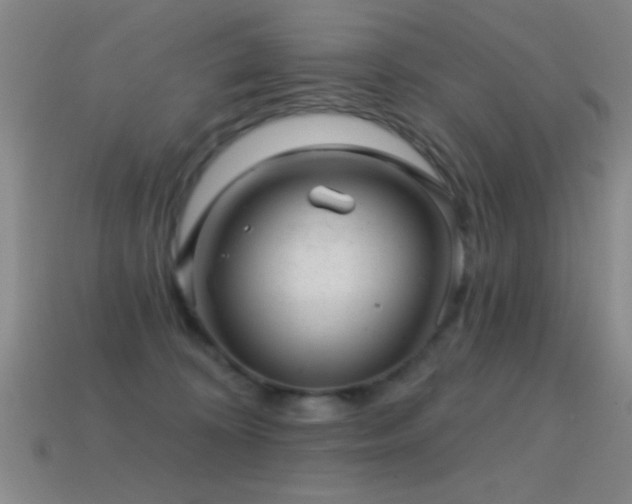 X0000114690324200910211318