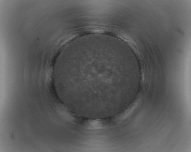 X0000114690325200910211318