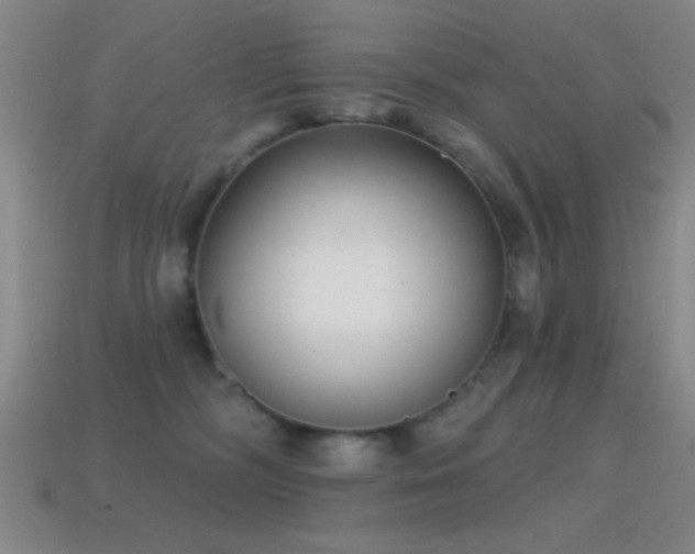 X0000114690326200910211318