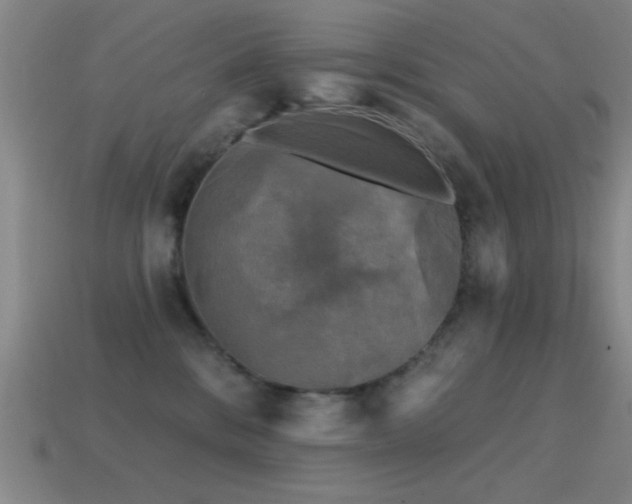 X0000114690328200910211318
