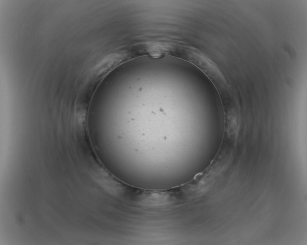 X0000114690329200910211318