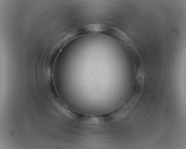 X0000114690330200910211318