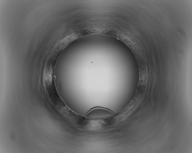 X0000114690334200910211317