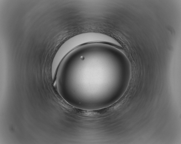 X0000114690336200910211317