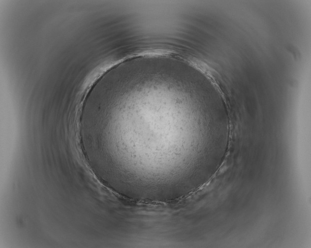 X0000114690337200910211317