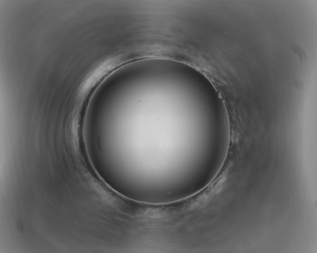 X0000114690341200910211317