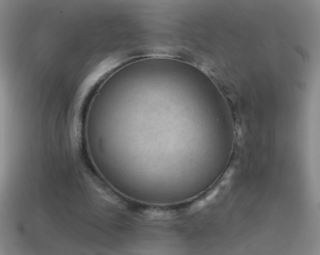 X0000114690343200910211317