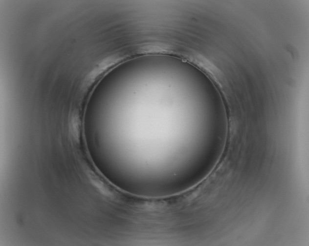 X0000114690345200910211317