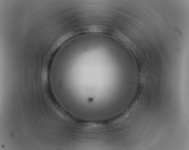X0000114690347200910211317