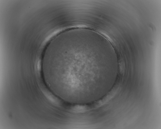 X0000114690350200910211317