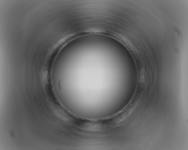X0000114690351200910211317