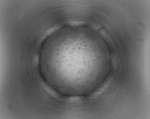 X0000114690357200910211317