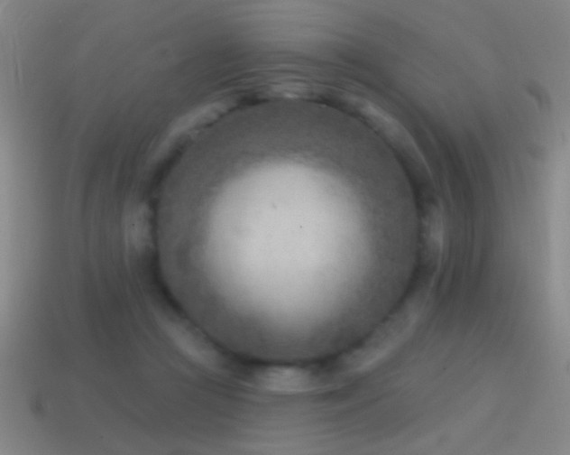 X0000114690361200910211317