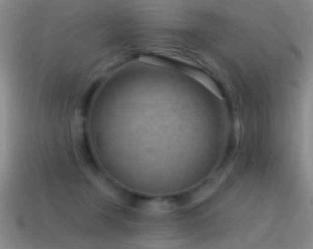 X0000114690366200910211317