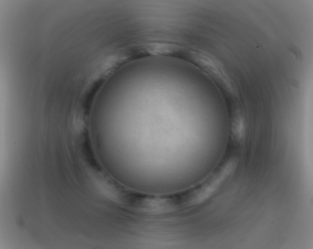 X0000114690367200910211317