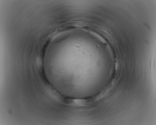 X0000114690371200910211317