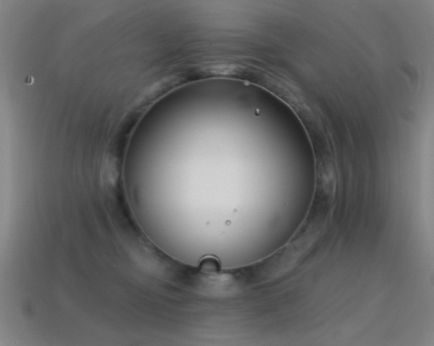 X0000114690374200910211317