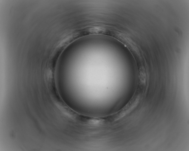 X0000114690375200910211317