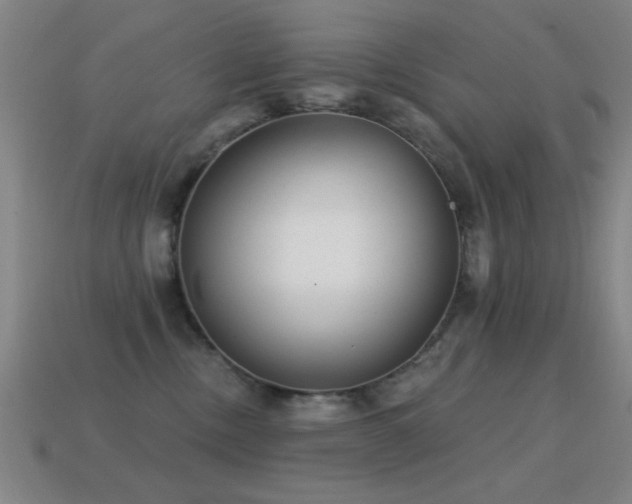 X0000114690378200910211317