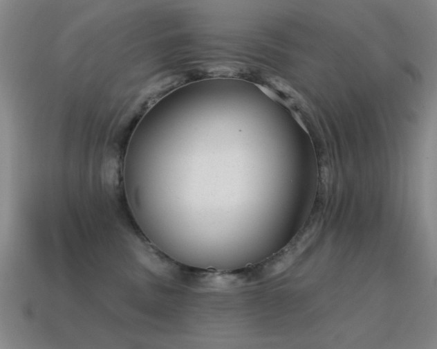 X0000114690379200910211317