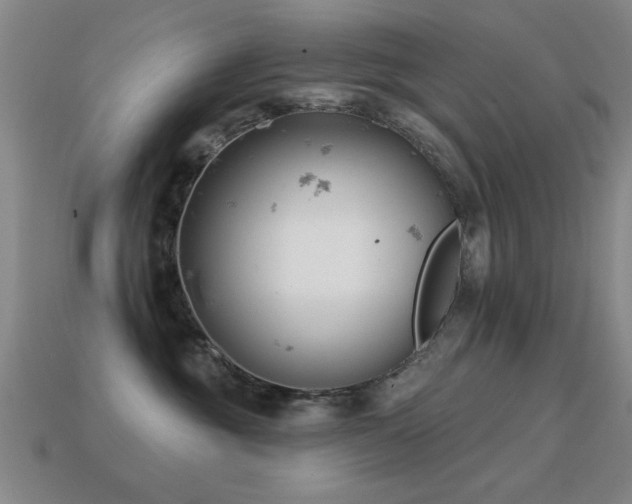 X0000114690381200910211317
