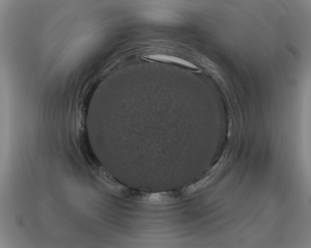 X0000114690382200910211317