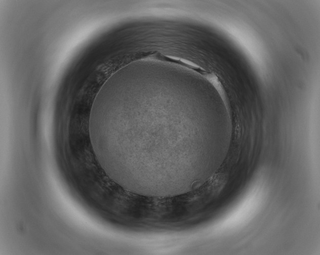 X0000114690383200910211317
