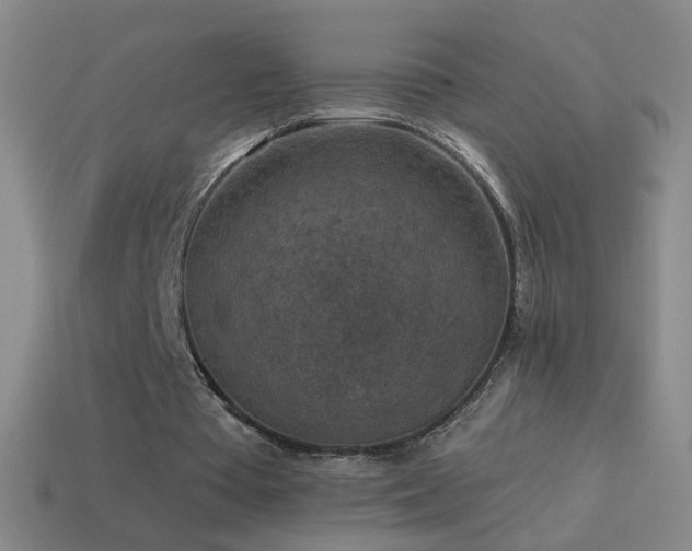 X0000114690385200910211317