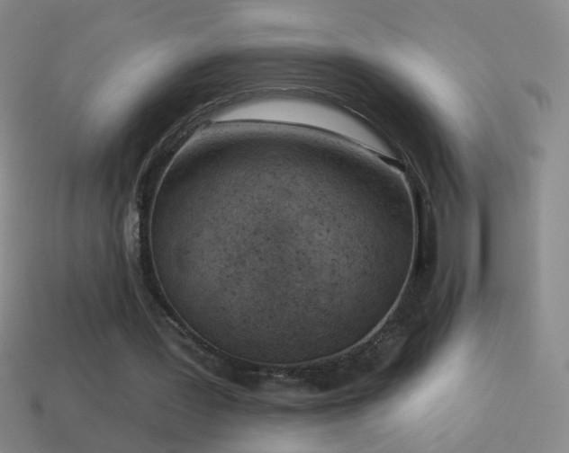 X0000114690387200910211317