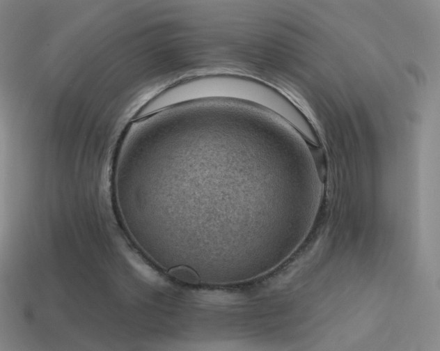 X0000114690389200910211317