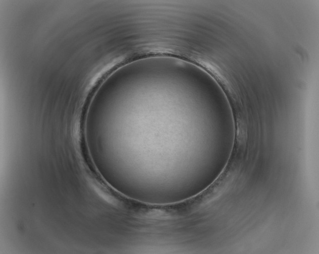 X0000114690390200910211317