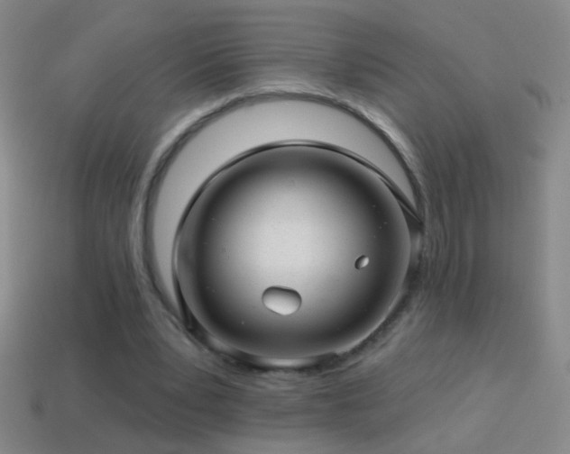 X0000114690391200910211317