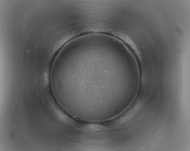 X0000114690393200910211317