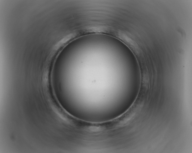 X0000114690394200910211317