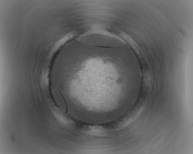 X0000114690395200910211317