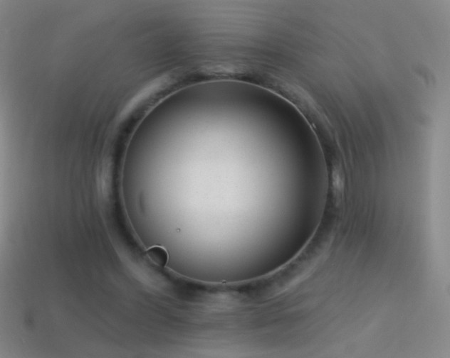 X0000114690396200910211317