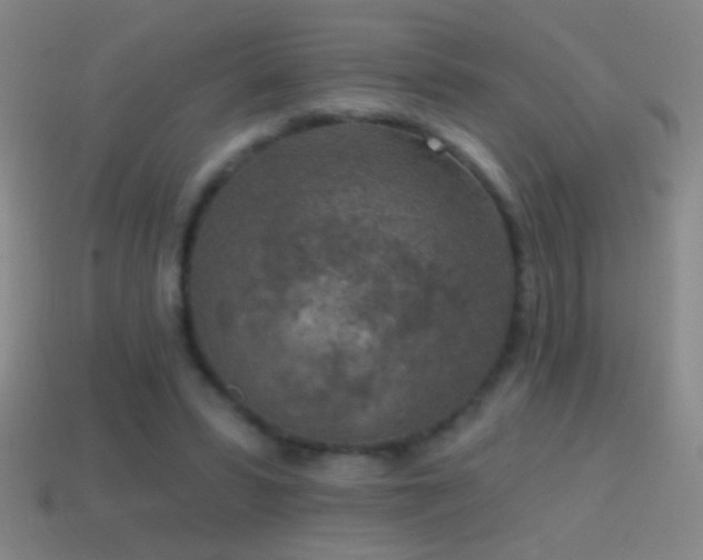X0000114690399200910211316