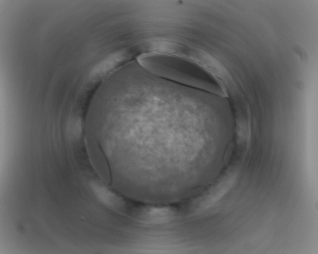 X0000114690401200910211316