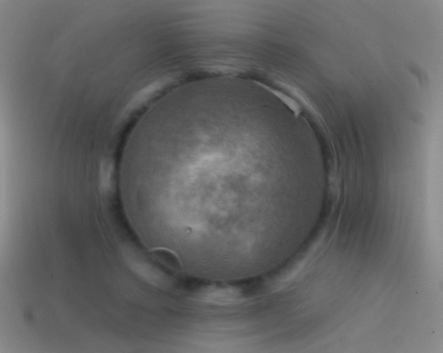 X0000114690403200910211316