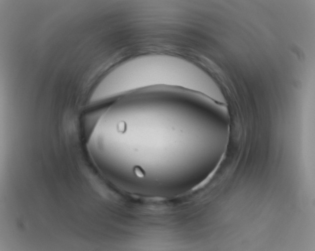 X0000114690405200910211316
