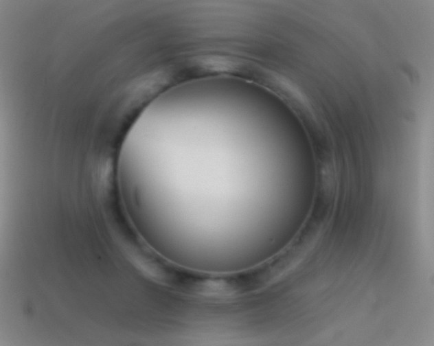 X0000114690406200910211316