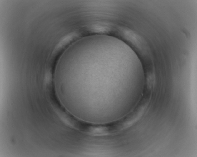X0000114690407200910211316