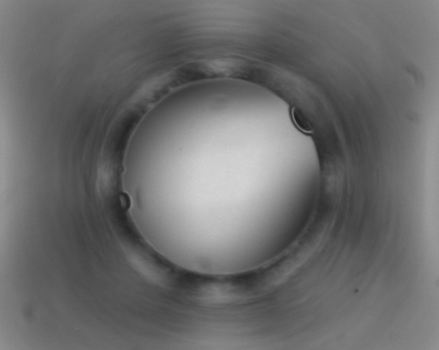 X0000114690408200910211316